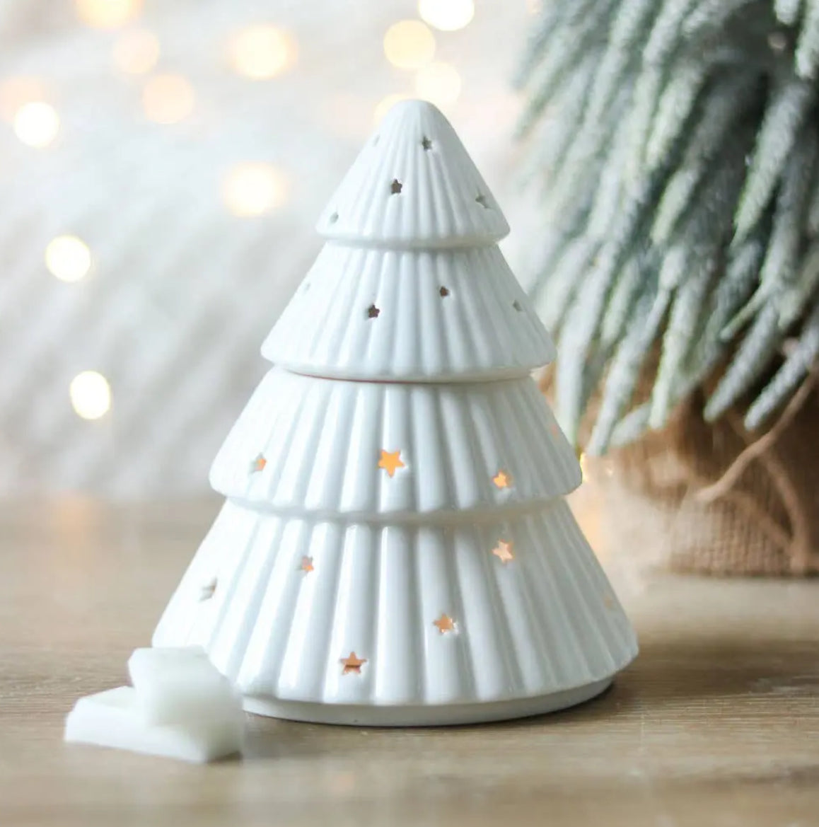 Brûleur Sapin Blanc