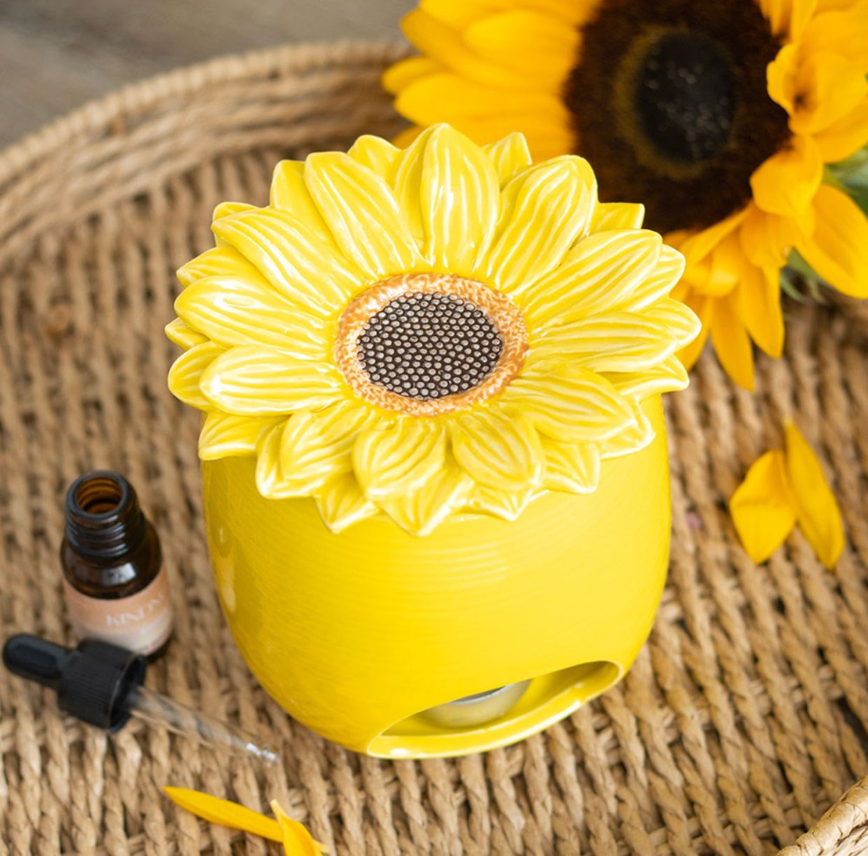 Brûleur Tournesol